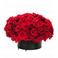 Brilliant red